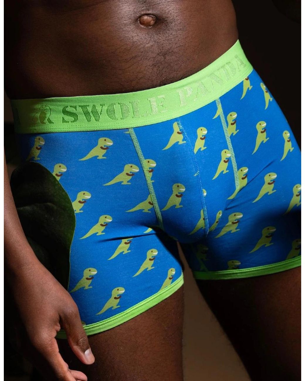 Swole Panda Green T-Rex Bamboo Boxer Brief for men