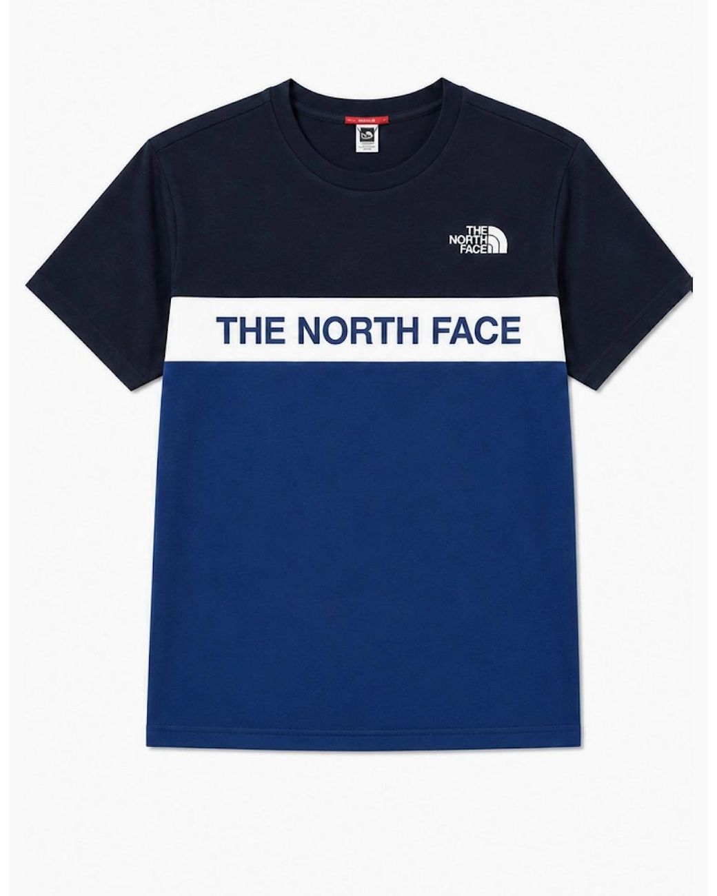 The North Face Blue Colour Block T Shirt for men