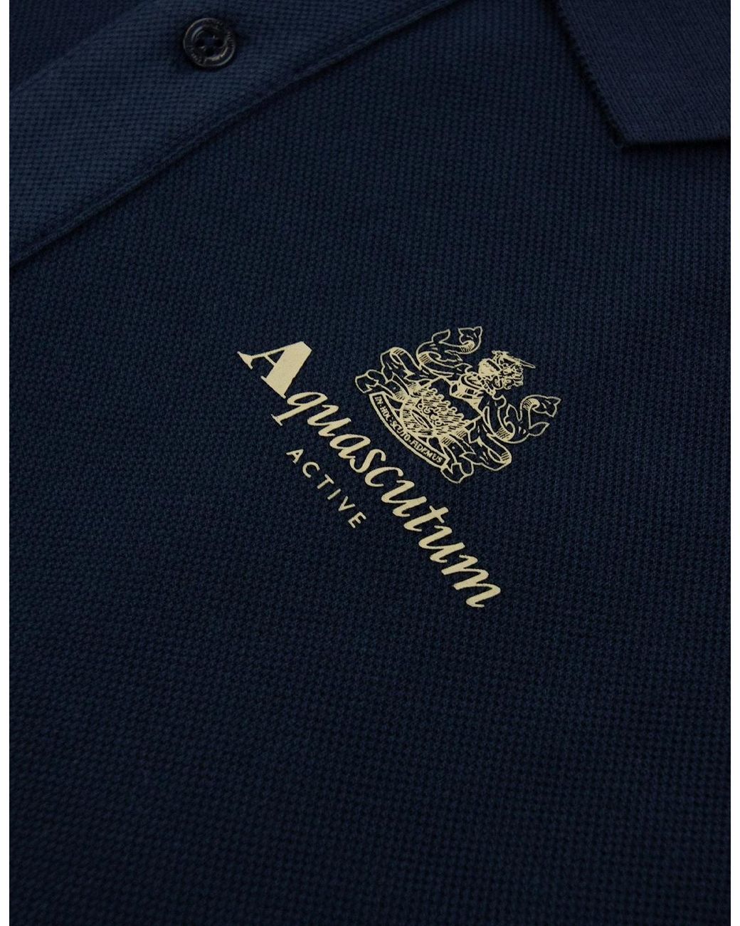 Aquascutum Blue Stripes Piquet L/Polo 11 for men