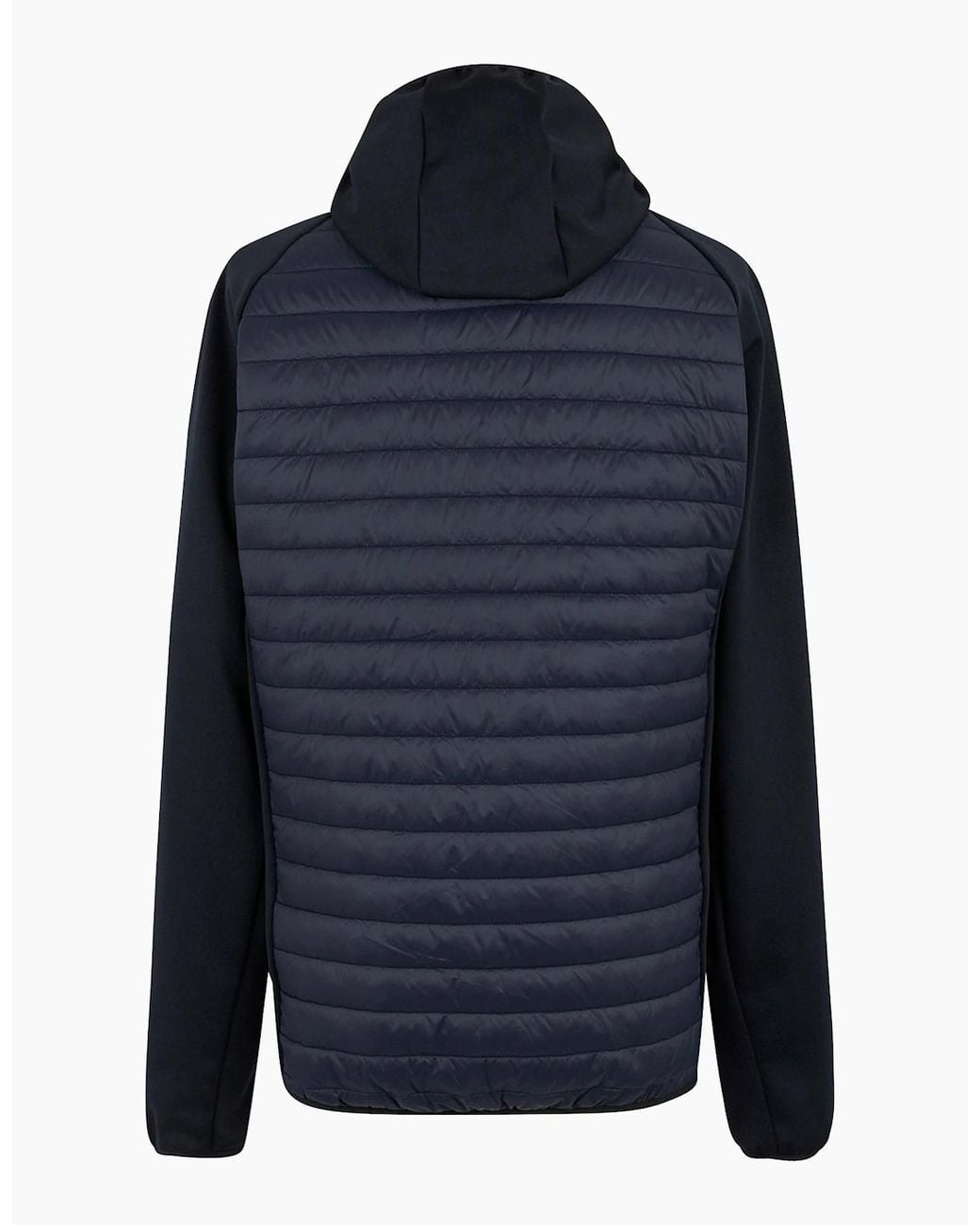 Regatta Blue Andreson Hybrid Jacket for men