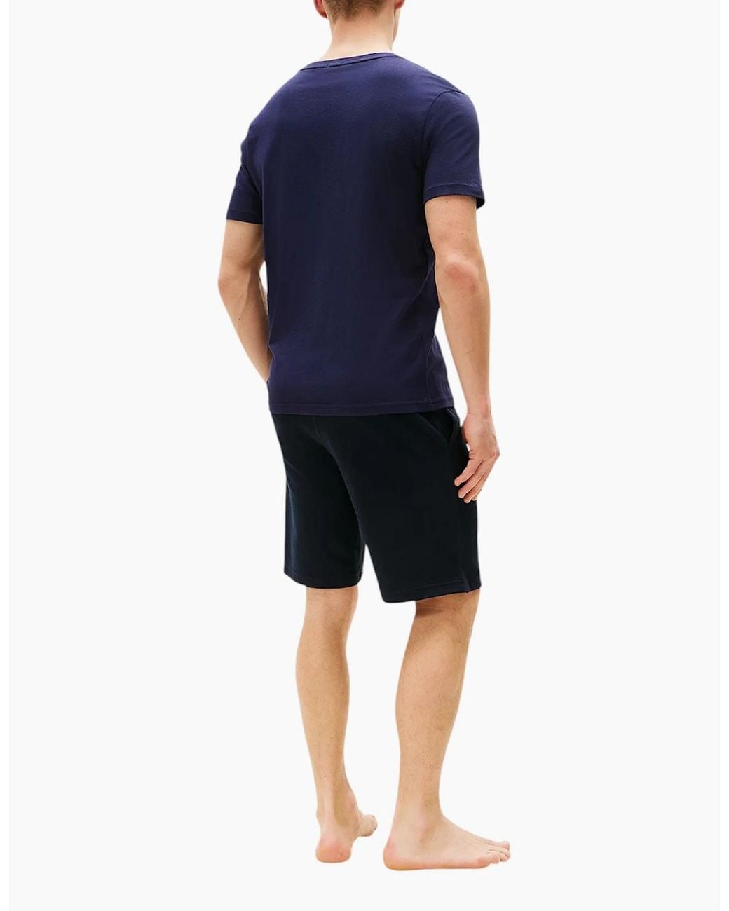 Tommy Hilfiger Blue T Shirts Cotton Top Tee for men