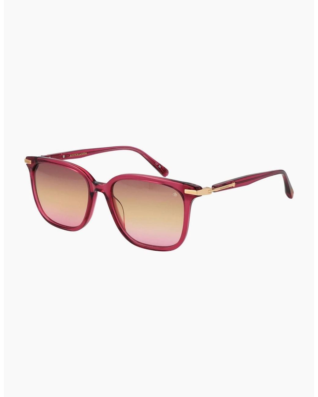Scotch & Soda Pink Sunglasses Ss7032 213 54