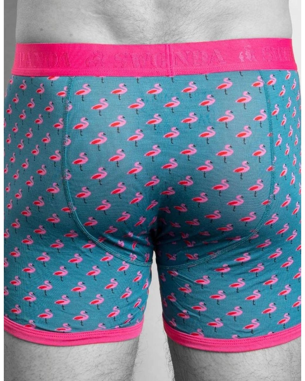 Swole Panda Blue Flamingos Bamboo Boxer Brief for men