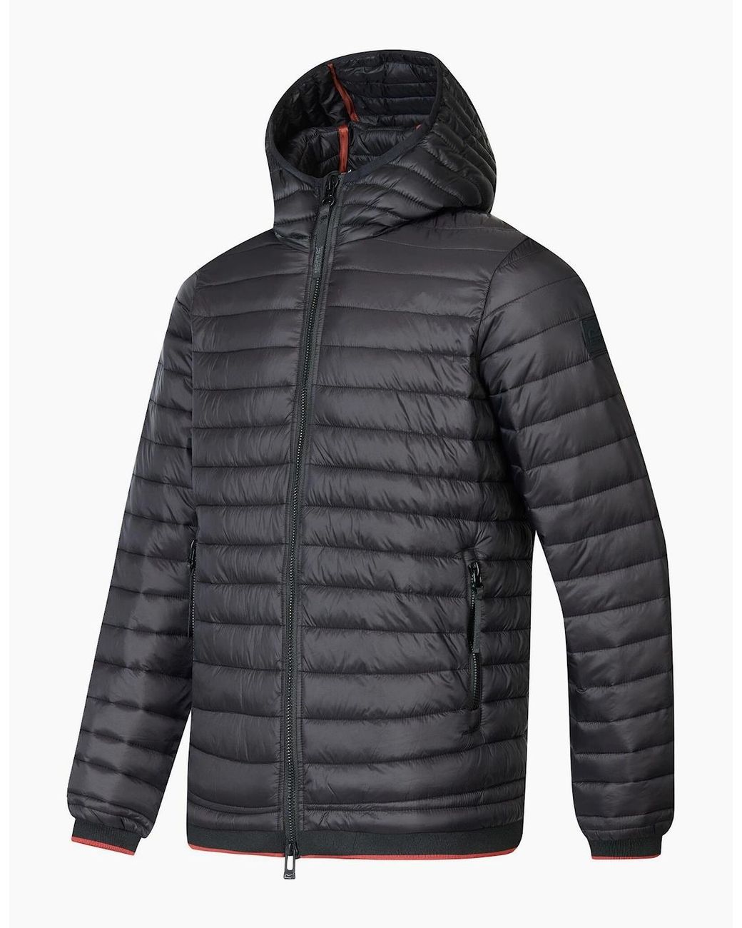 Regatta Gray Haile Padded Jacket for men
