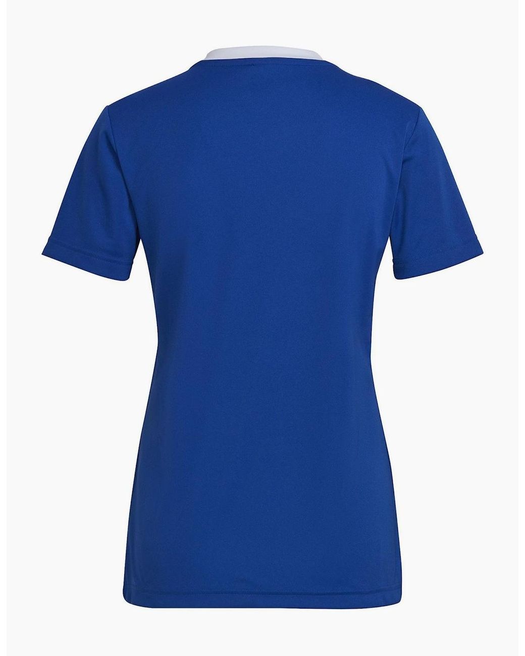 Adidas Blue Ent22 Jersey W T-Shirt