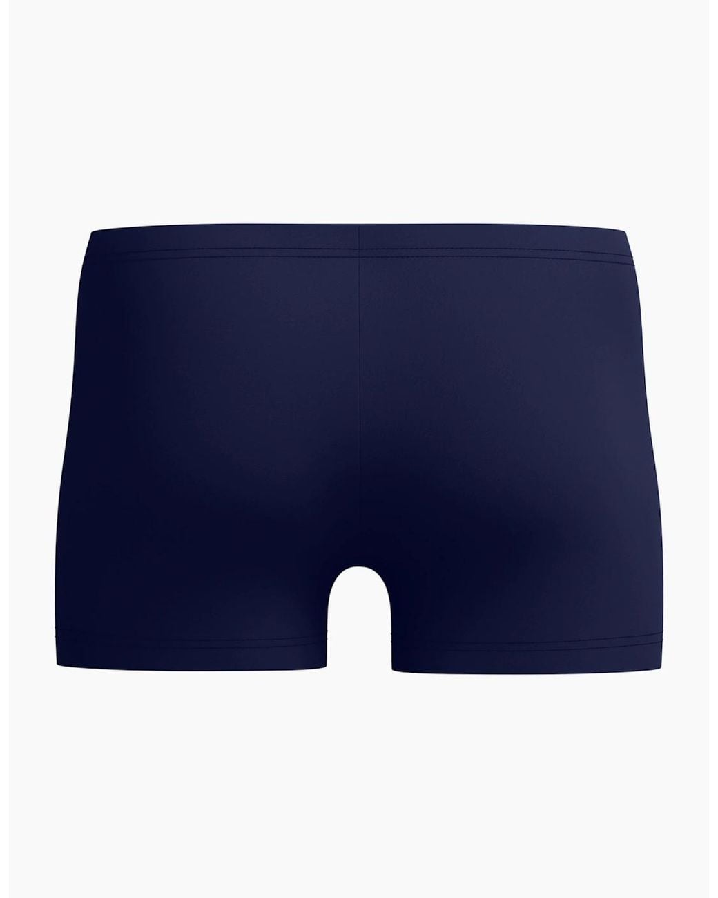 Speedo Blue Medley Logo Swim Shorts for men
