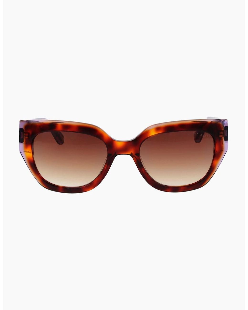 Ted Baker Brown Sunglasses Tb1757 100 53
