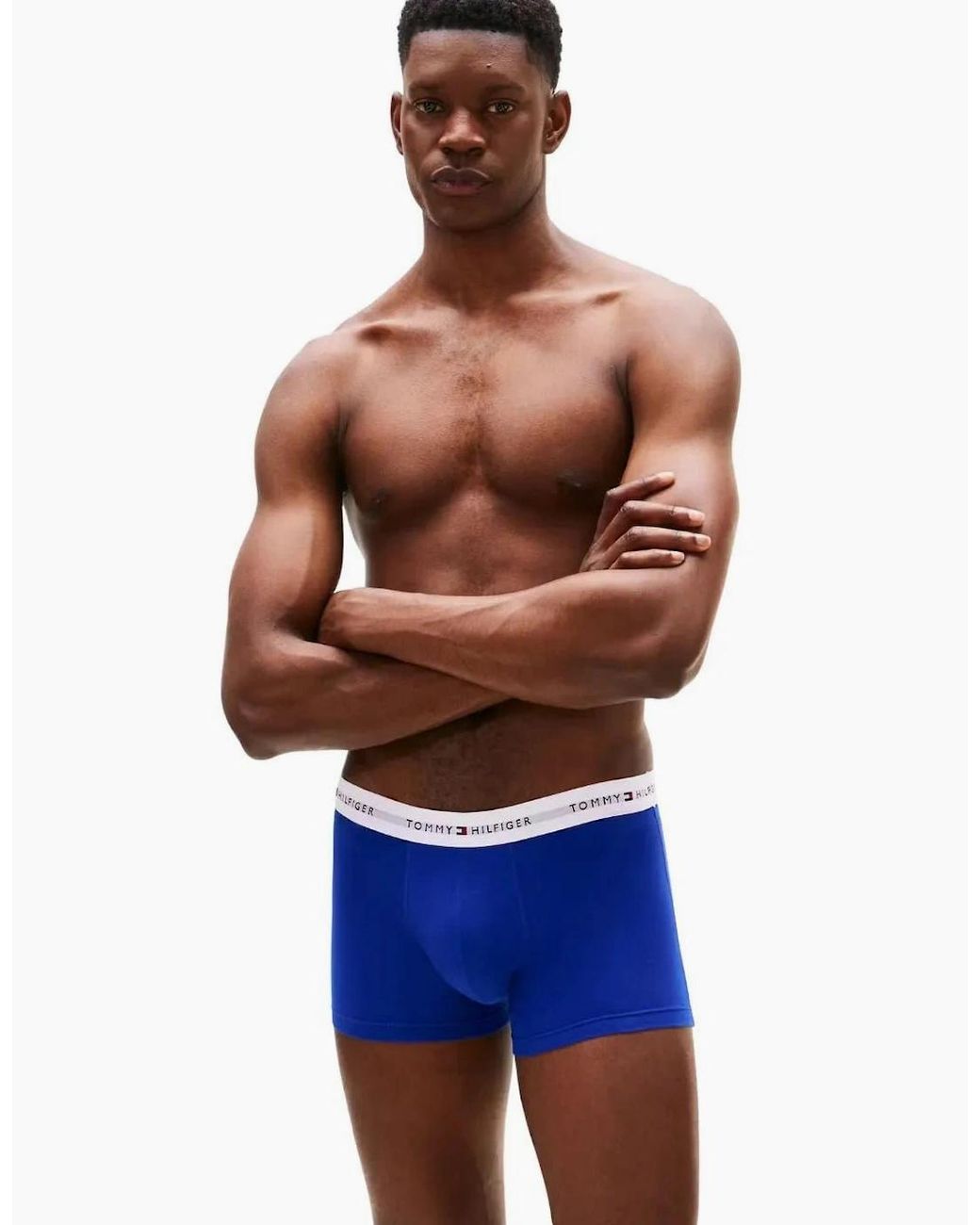 Tommy Hilfiger Blue 3-Pack Signature Cotton Flag Dna Print Boxer Trunks for men
