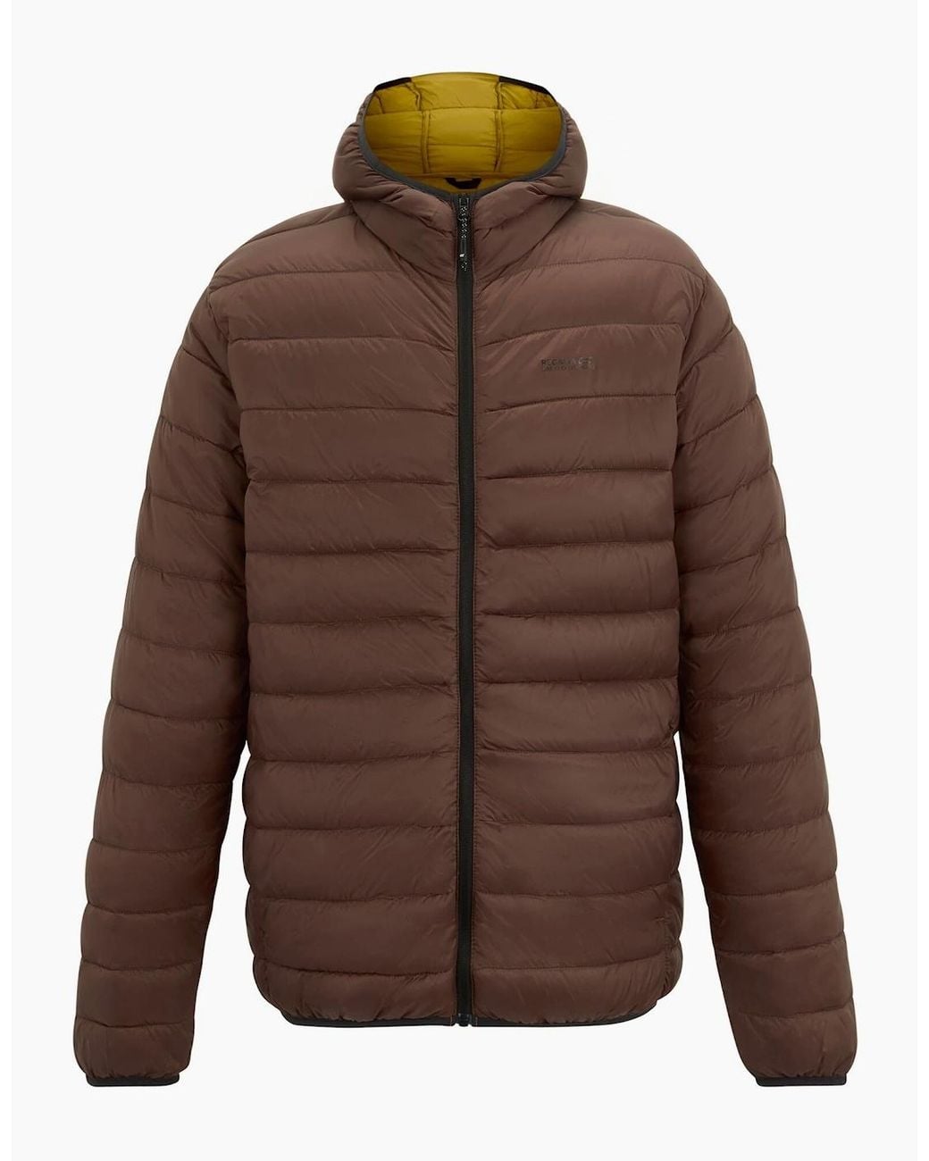Regatta Brown Marizion Baffled Hooded Padded Jacket for men