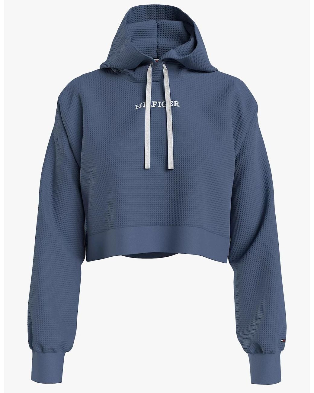 Tommy Hilfiger Blue Long Sleeve Hoodie Hoodie Iron