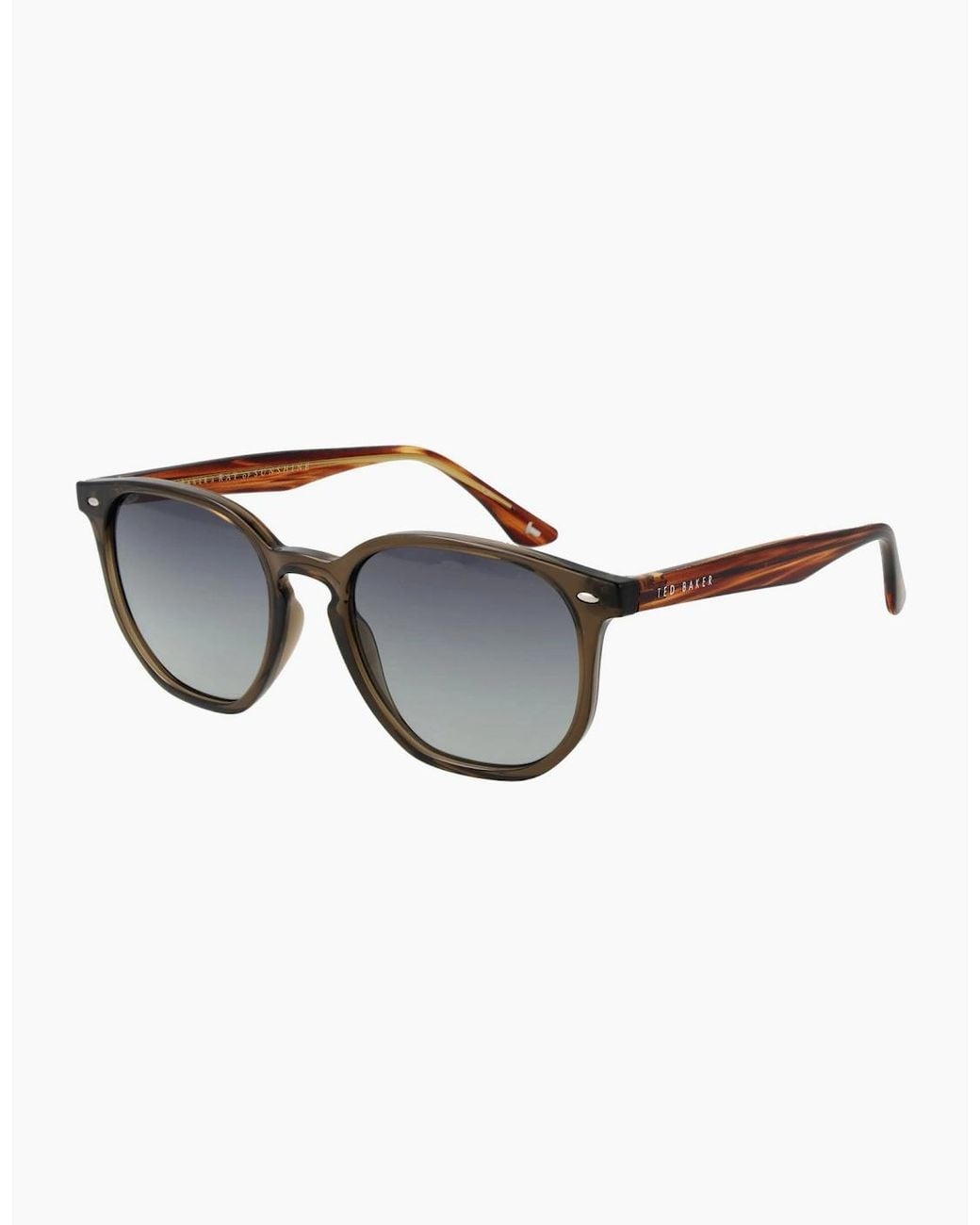 Ted Baker Brown Sunglasses Tb1655 949 52 for men