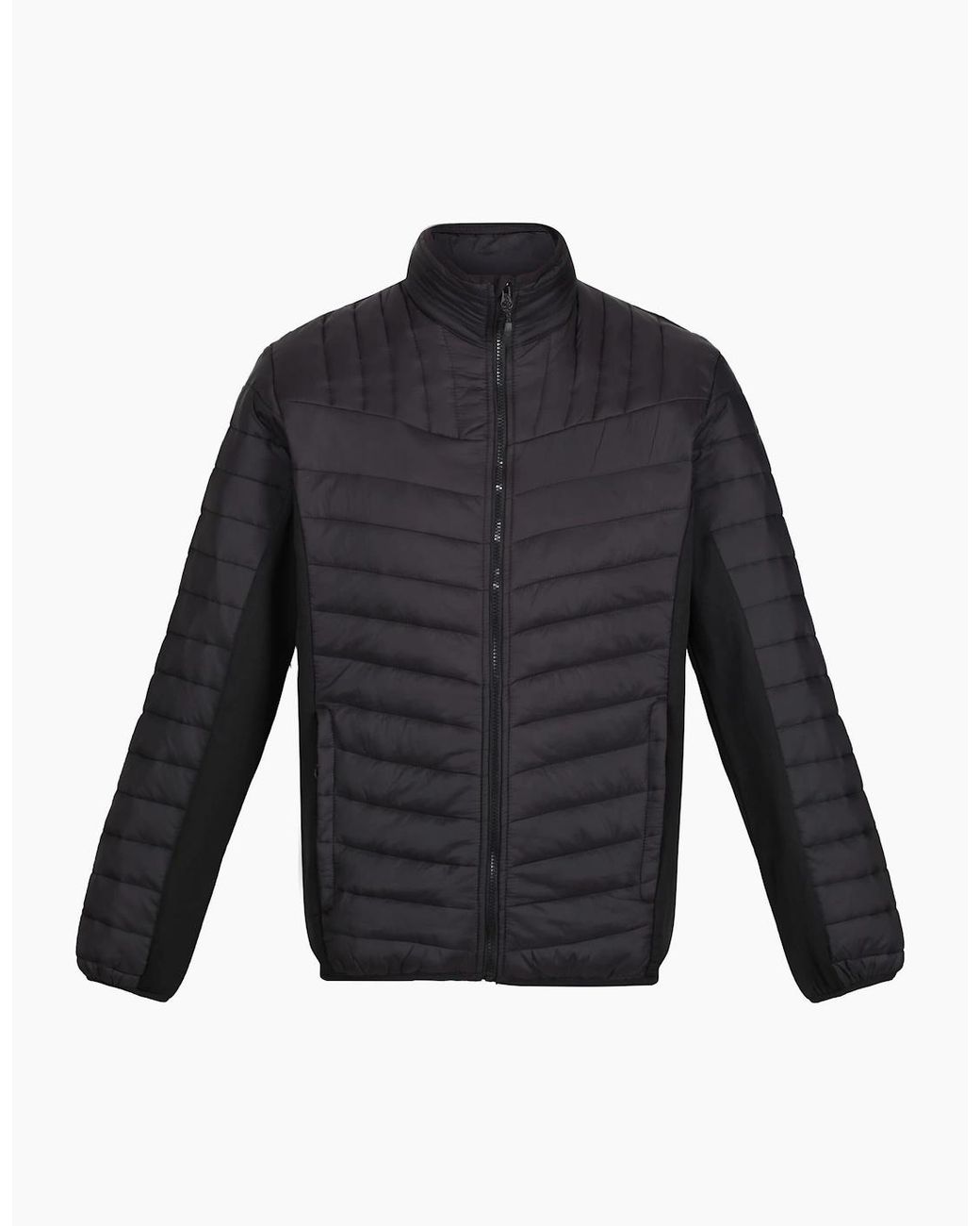 Regatta Blue Professional Hybrid Jacket for men