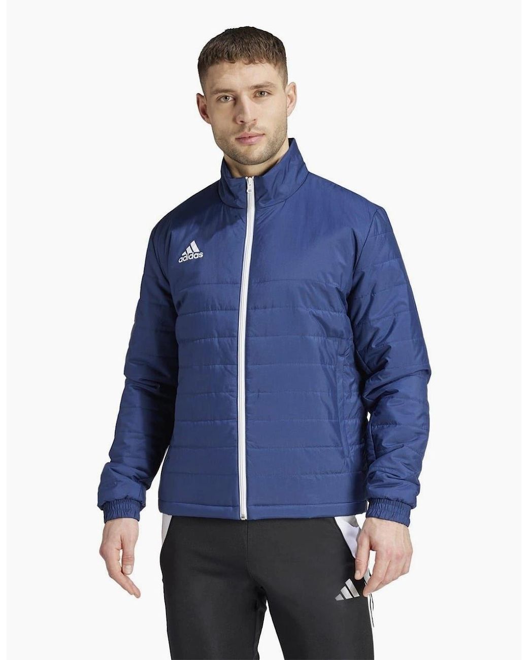 Adidas Blue Entrada Light Jacket for men