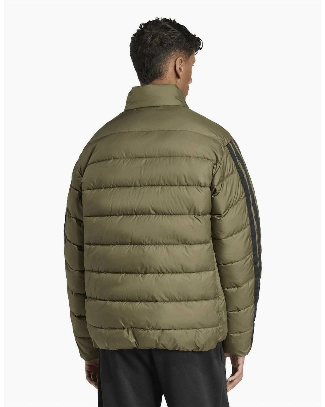 Adidas Green Ess 3S Sd Jacket for men