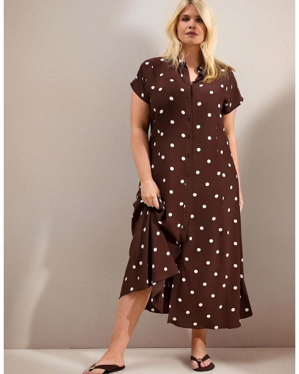 Live Unlimited London Brown Petite Chocolate Polka Dot Print Midaxi Shirt Dress