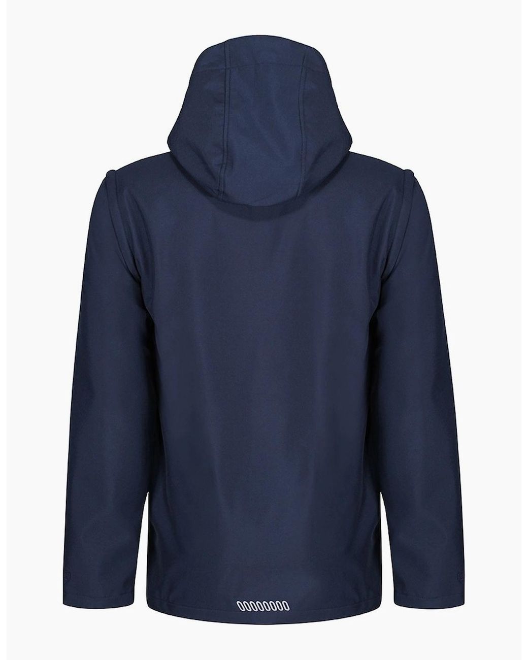 Regatta Blue Erasmus 4 for men