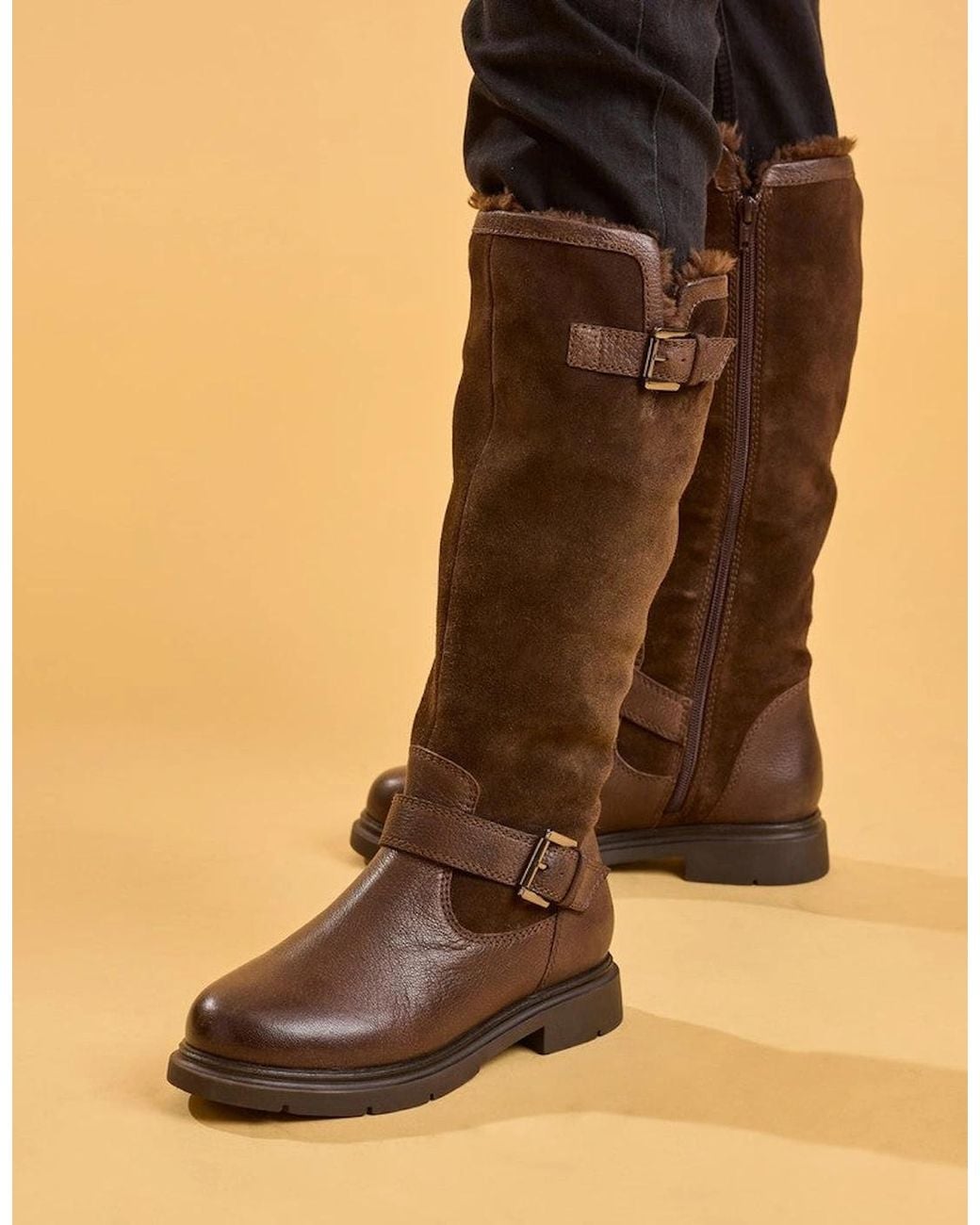 Hush Puppies Brown Cressida Long Boot Tall Boots