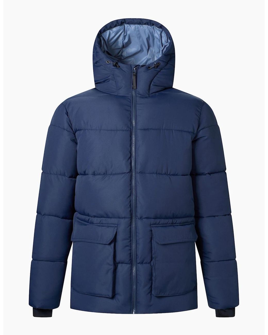 Regatta Blue Marek Short Padded Jacket for men