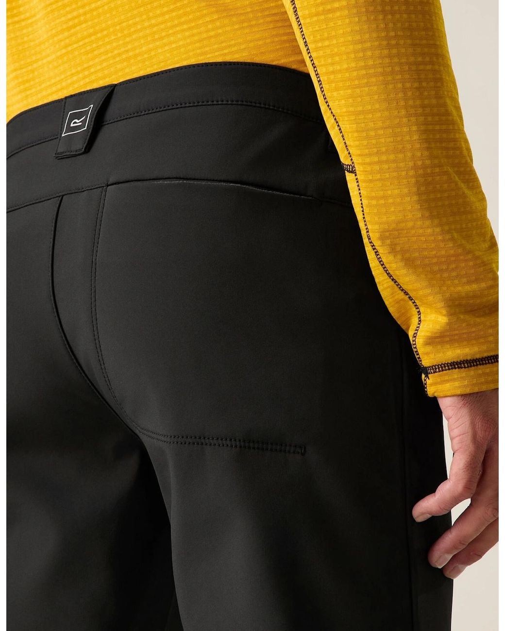 Regatta Black Fenton Softshell Trousers for men