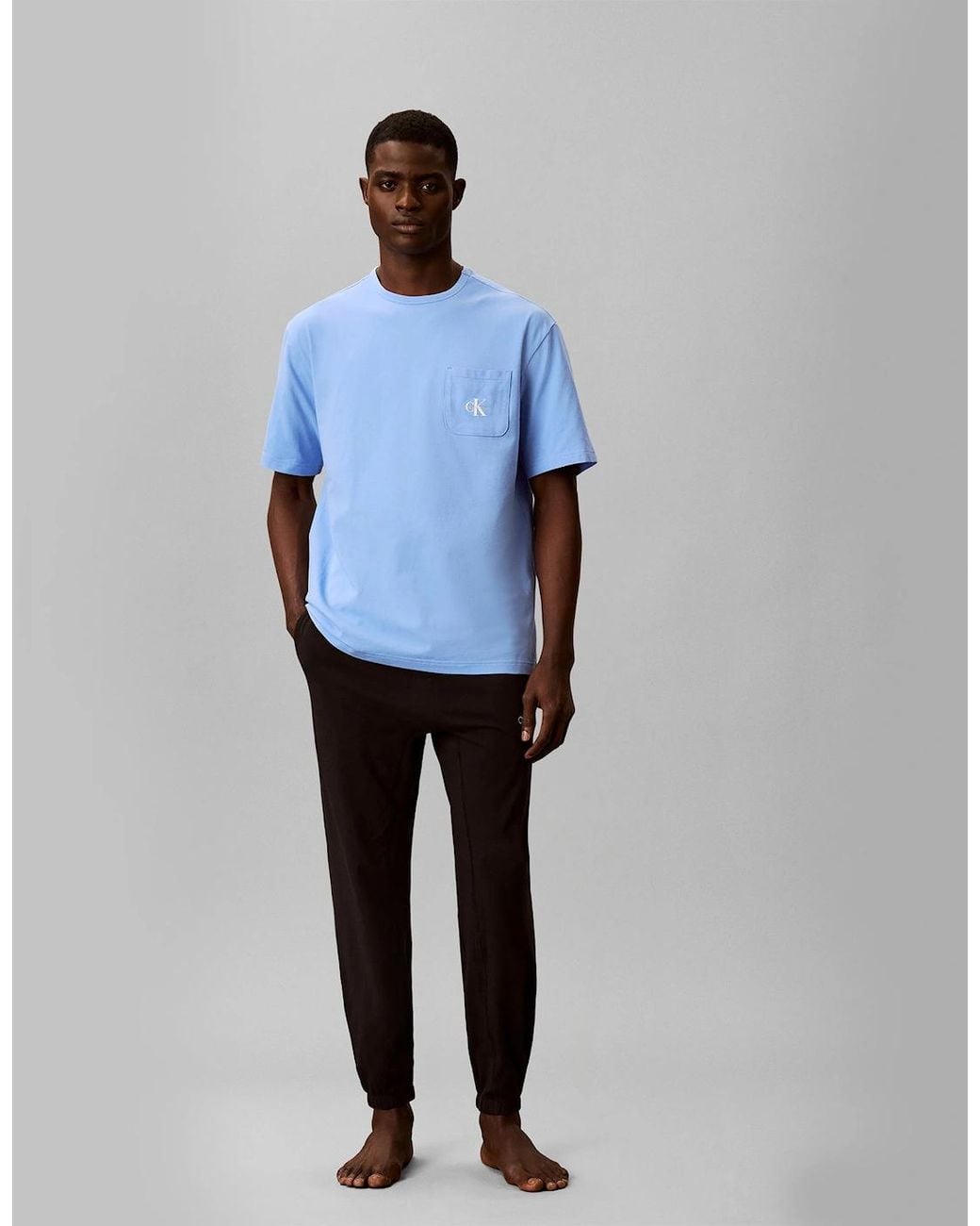 Calvin Klein Blue 2 Pack Ss T-Shirt T-Shirts & Tank Tops Descent for men