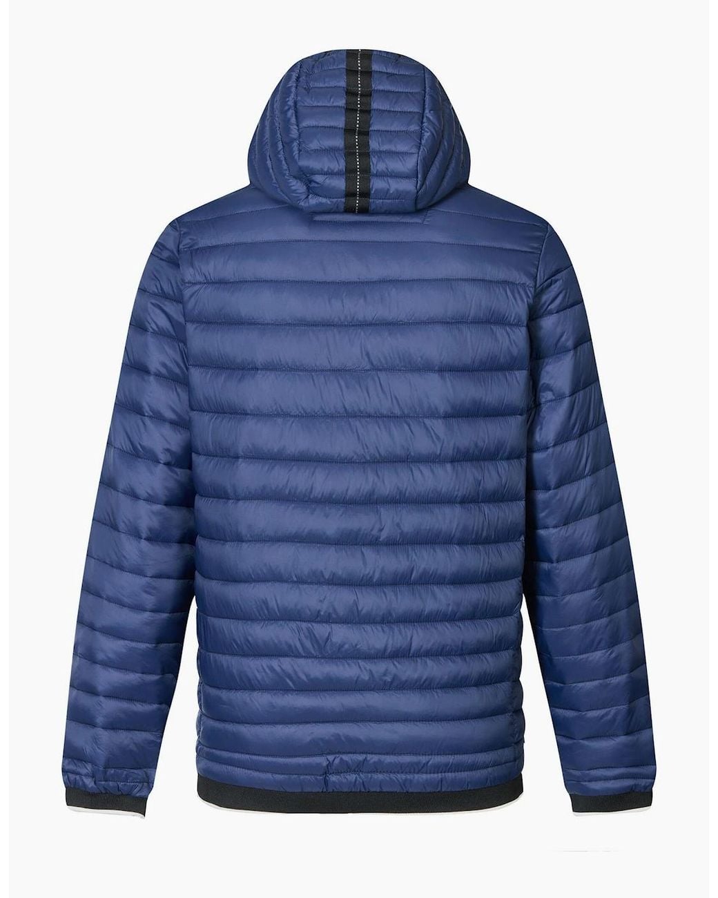 Regatta Blue Haile Padded Jacket for men
