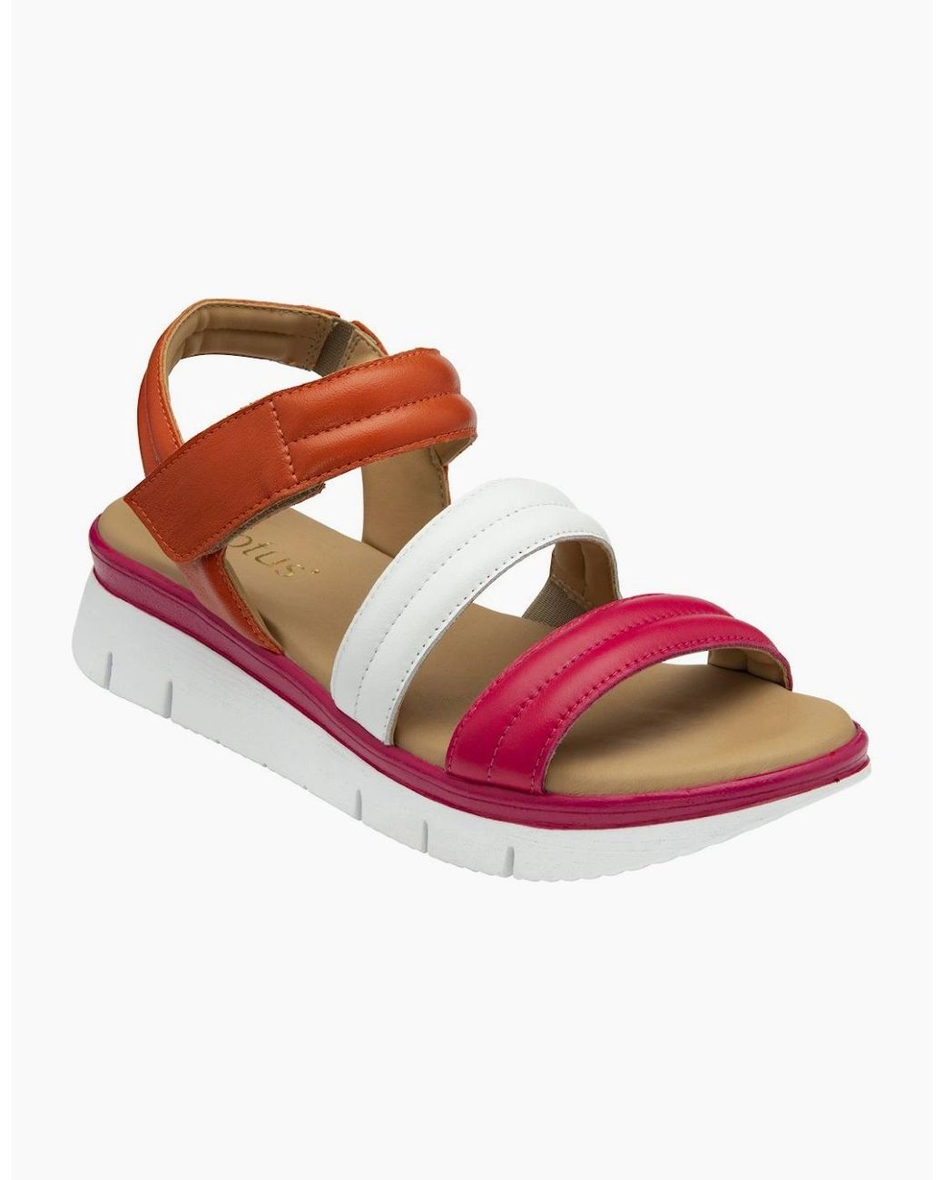 Lotus Pink Zamira Sandals