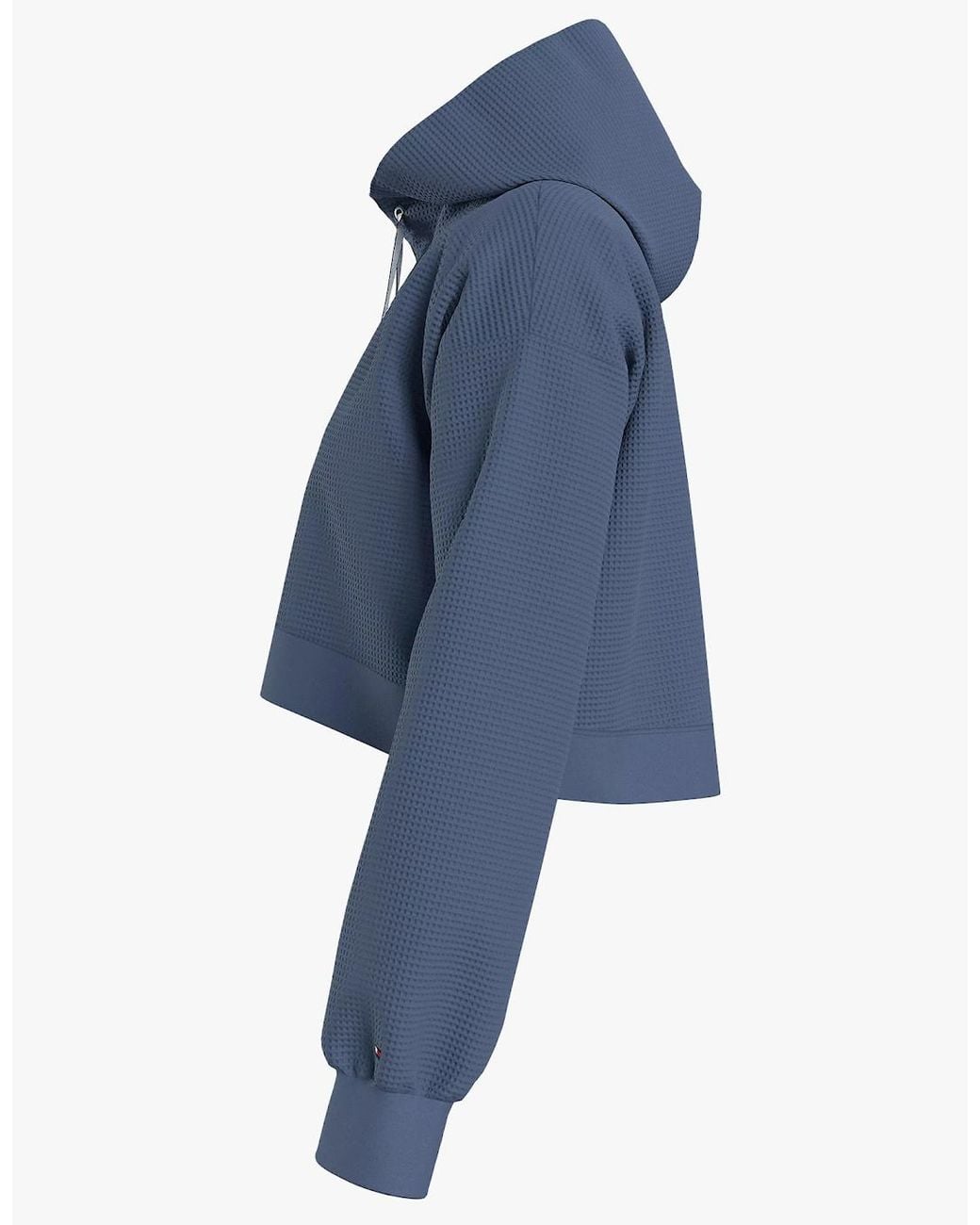 Tommy Hilfiger Blue Long Sleeve Hoodie Hoodie Iron