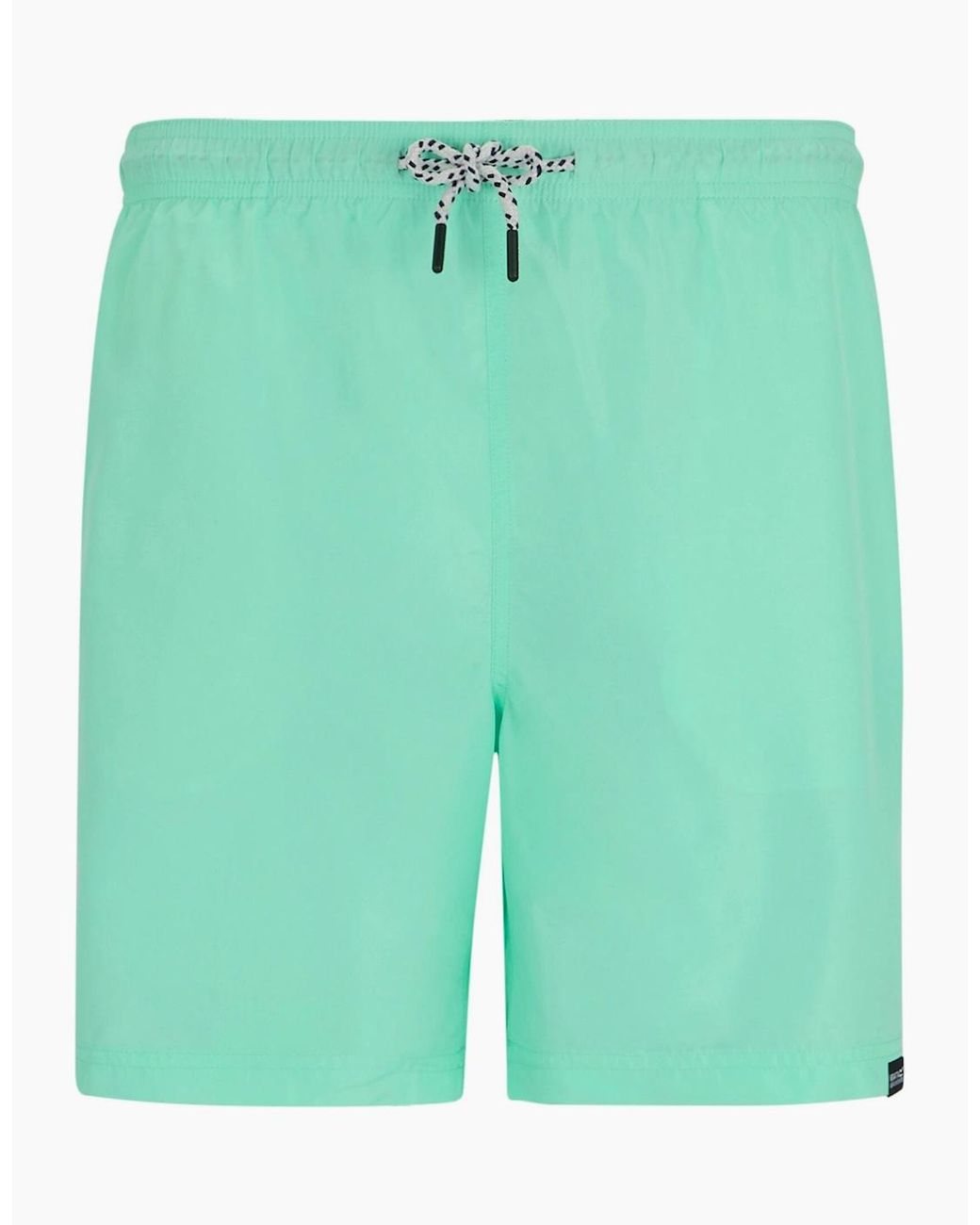 Regatta Green Mackleyna Swim Shorts for men