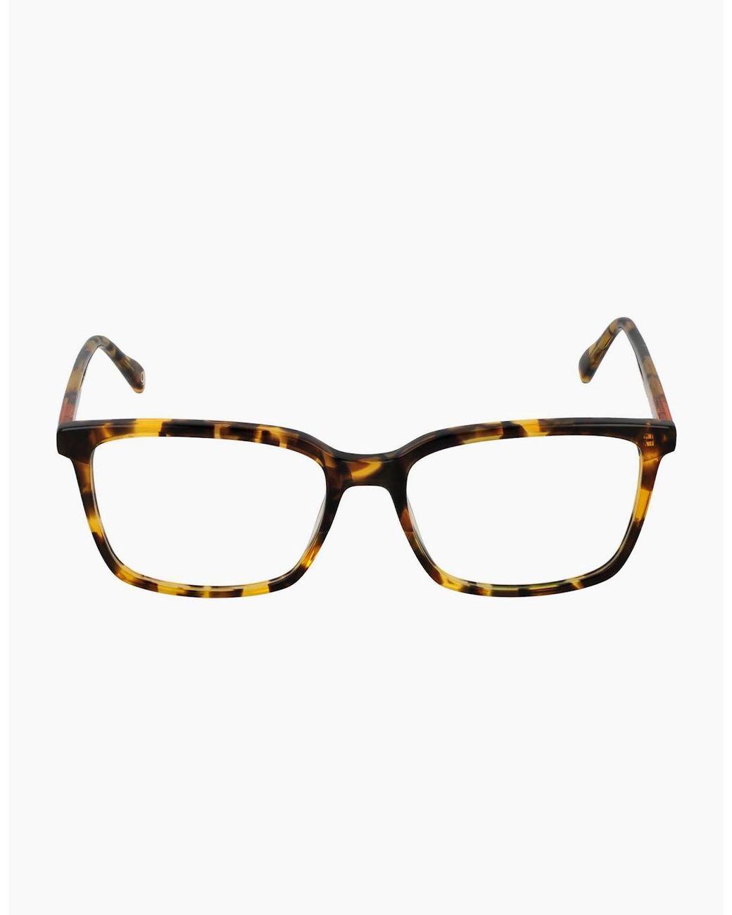 Benetton Brown Optical Frame Beo109 103 55 for men
