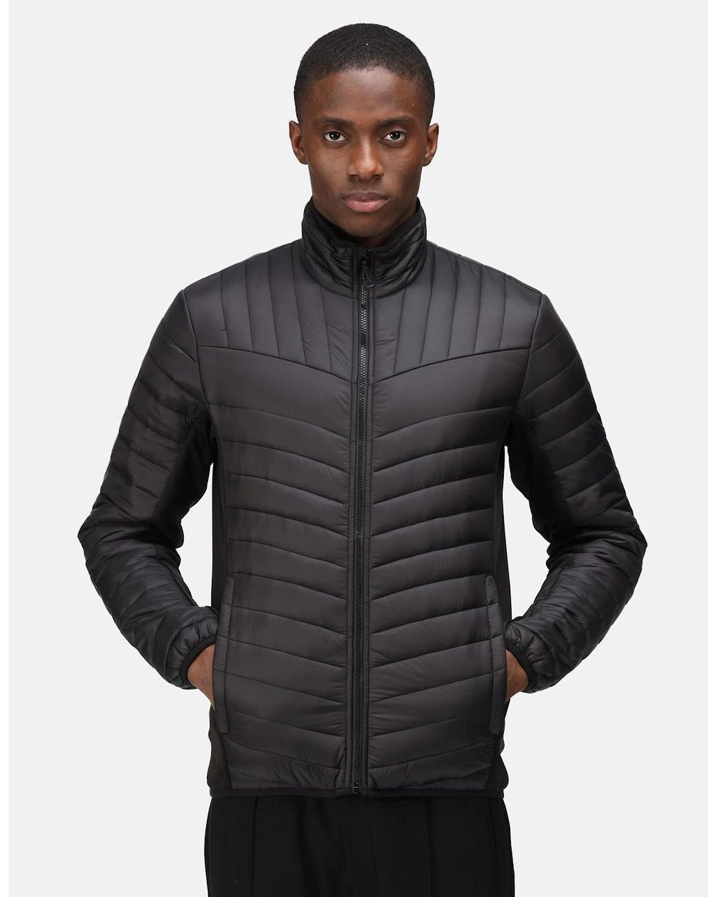 Regatta Blue Professional Hybrid Jacket for men
