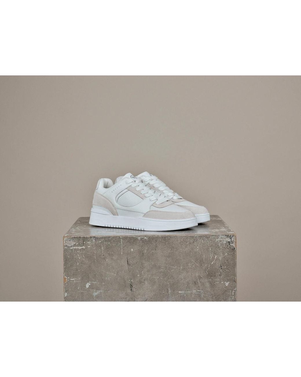 Unseen White Regent for men