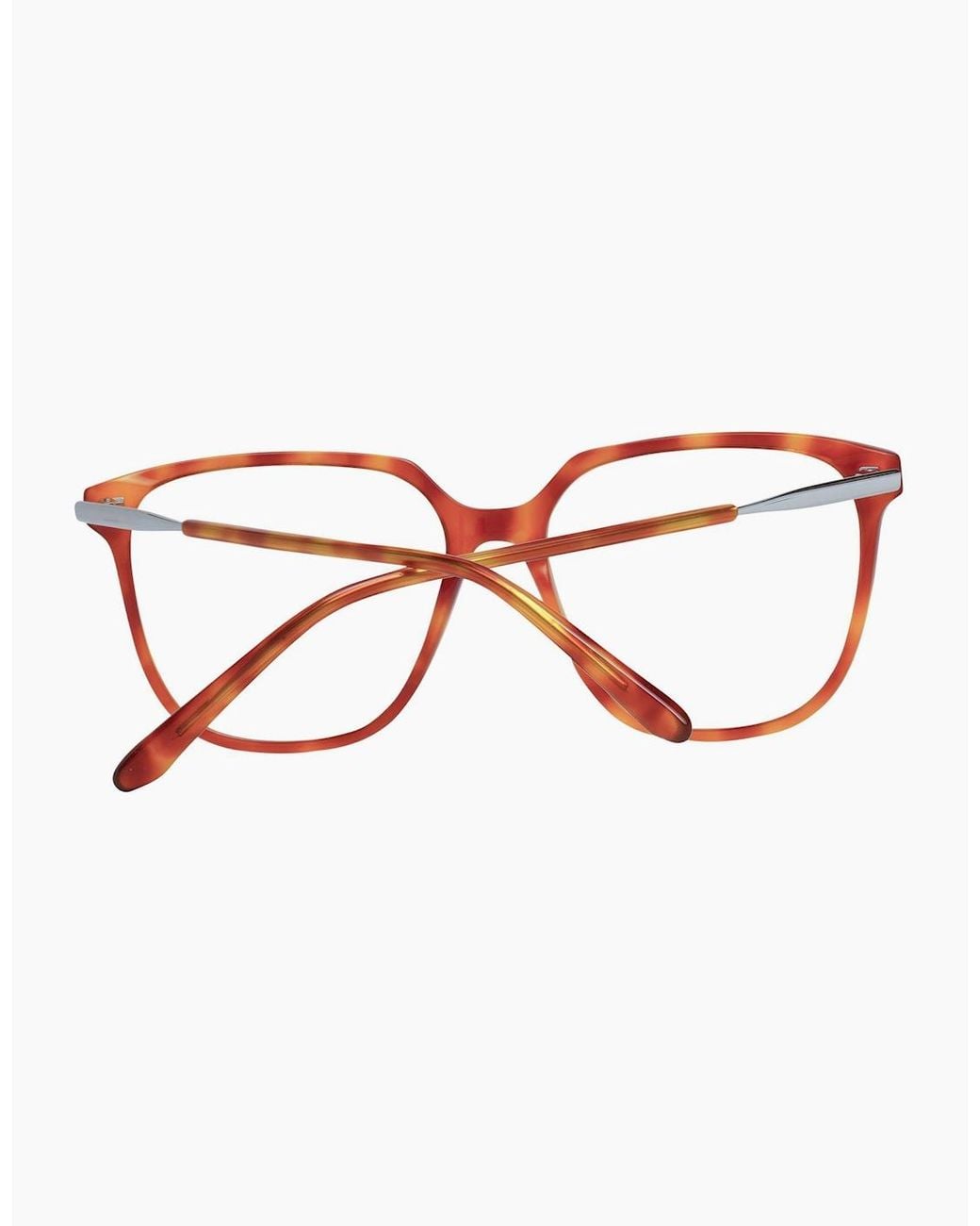 Sandro Brown Optical Frame Sd2029 221 53