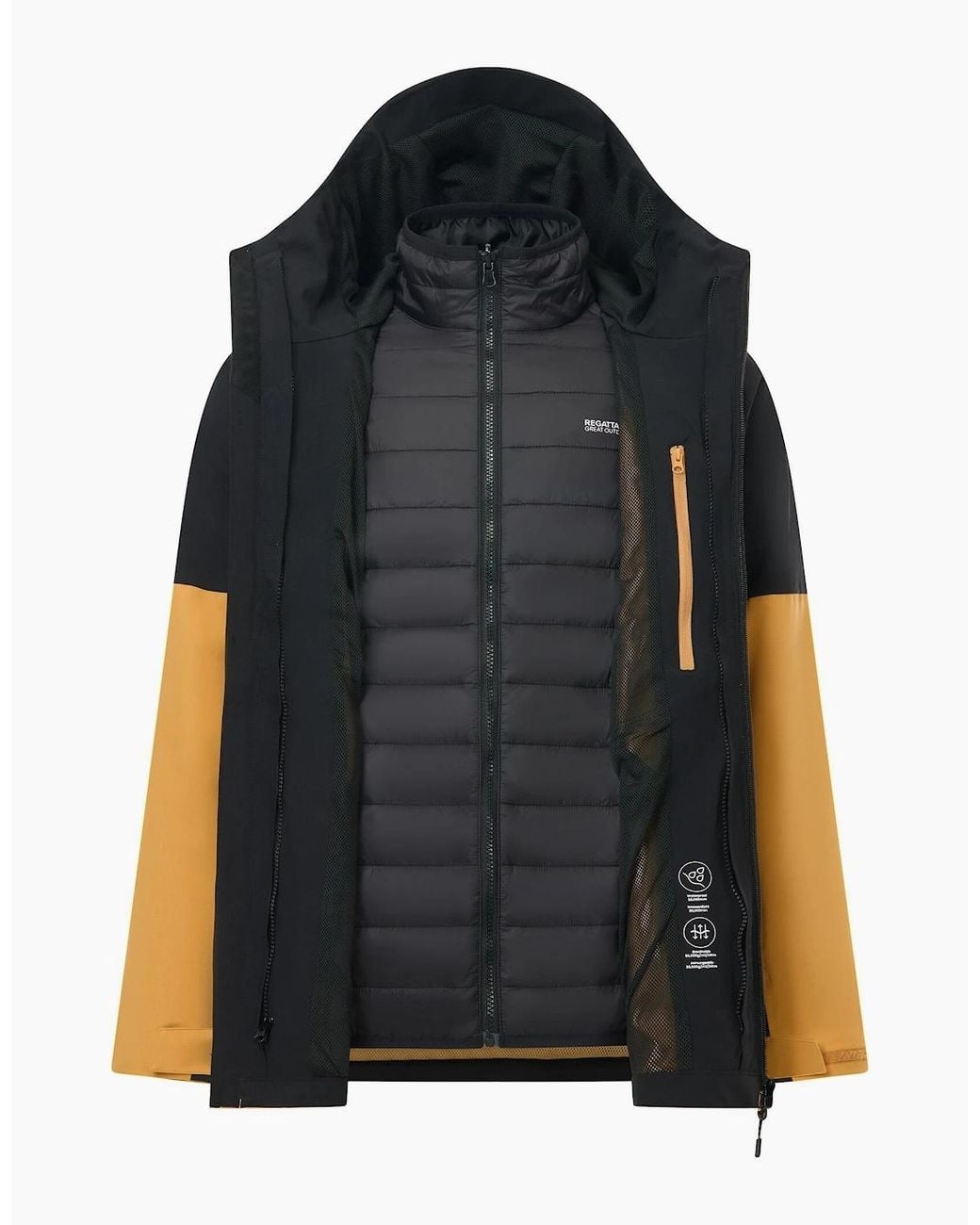 Regatta Orange Wentwood 3 for men