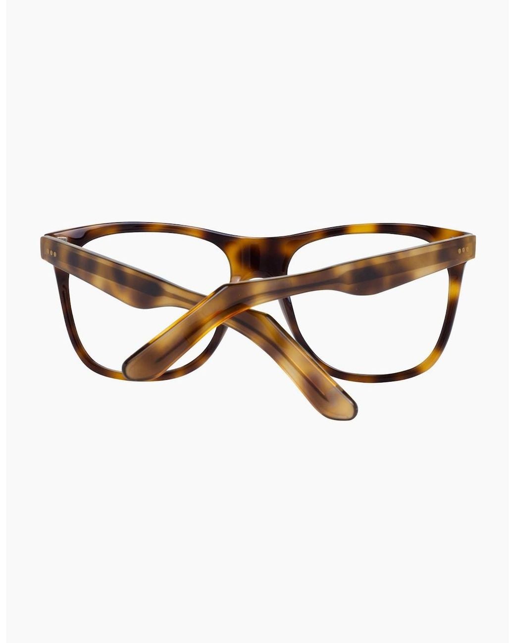 Sandro Brown Optical Frame Sd1004 201 53 for men