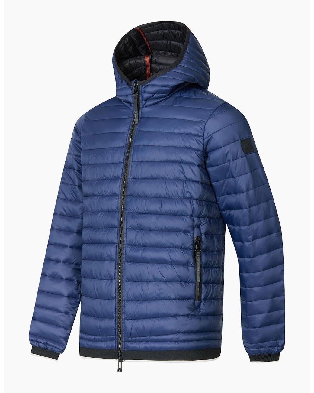 Regatta Blue Haile Padded Jacket for men