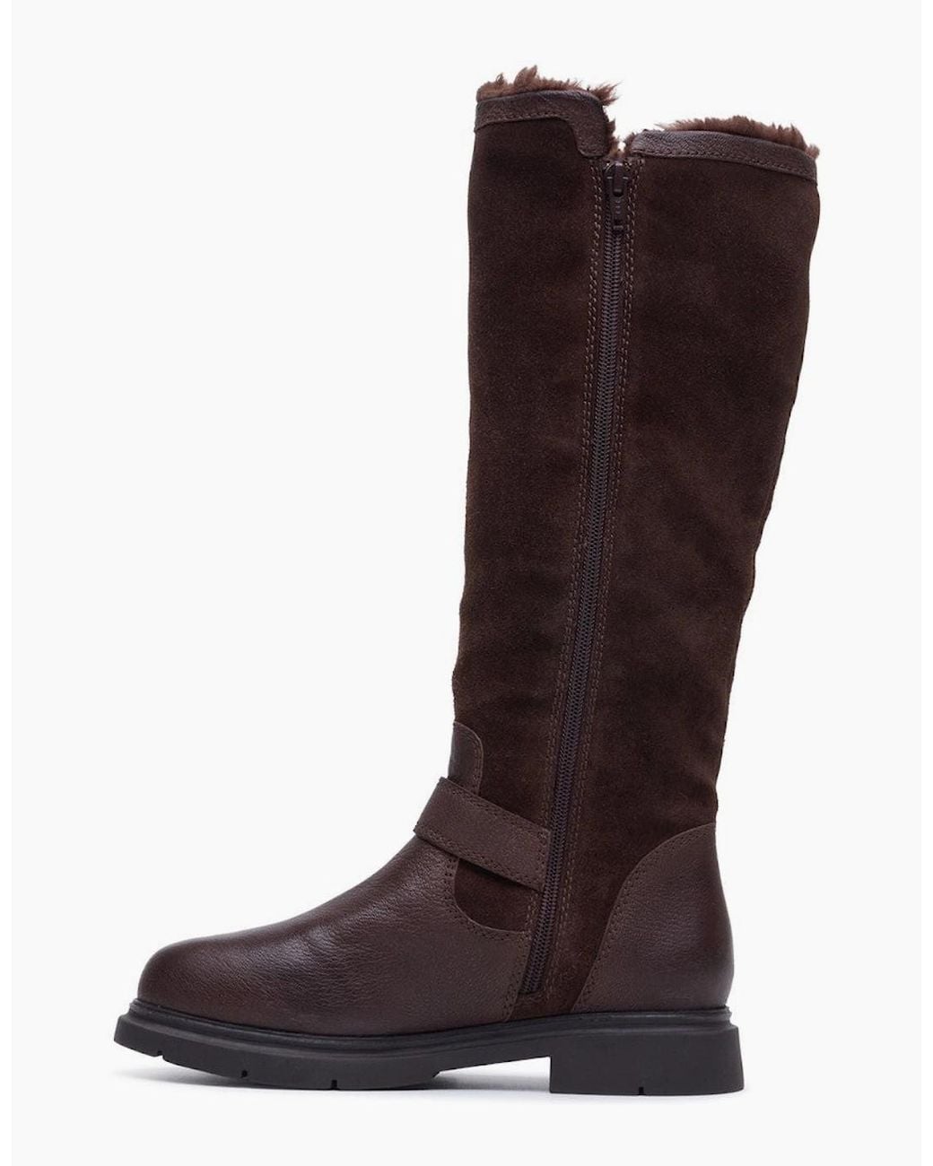 Hush Puppies Brown Cressida Long Boot Tall Boots