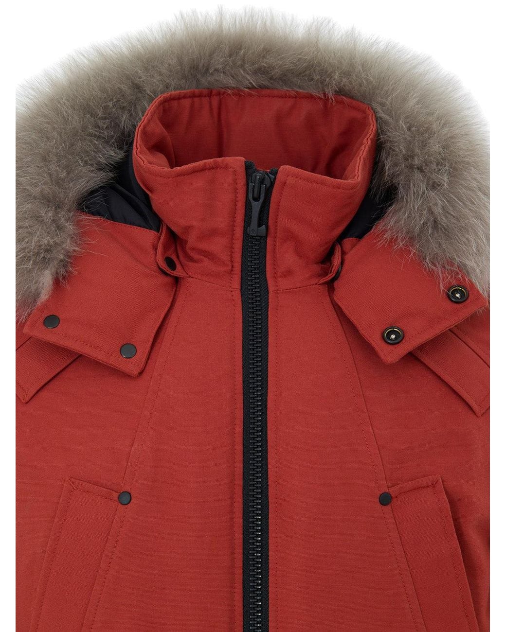 Moose Knuckles Red Giubbino Bomber Blu Imbottito for men