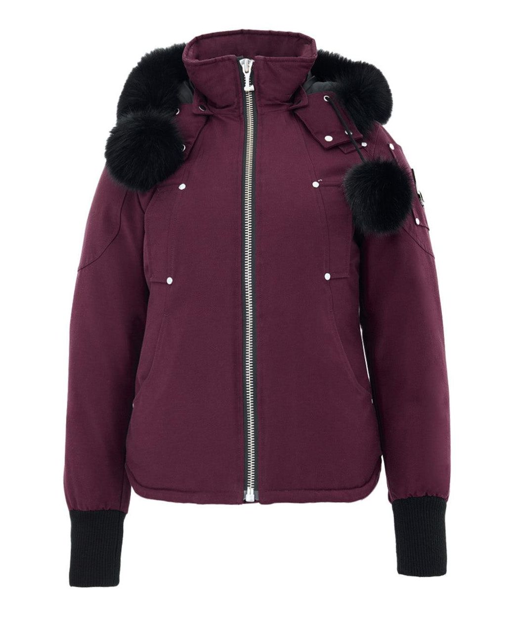 Moose Knuckles Purple Winter Jackets
