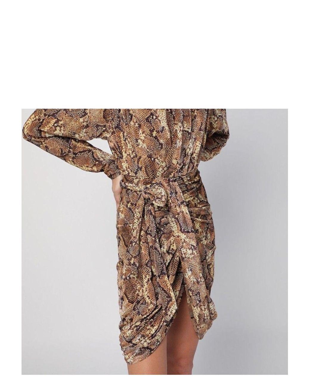 ワンピースその他 ISABEL MARANT Cleora snake print dress ISABEL MARANT Cleora snake print dress | TheDoubleF