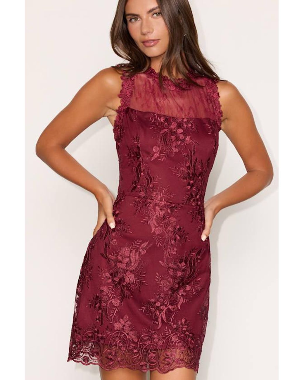 Lulus Cirella Berry Embroidered Sleeveless Mini Dress