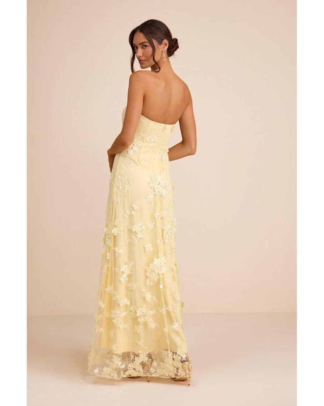 Lulus Natural Rare Presence 3D Floral Embroidered Maxi Dress