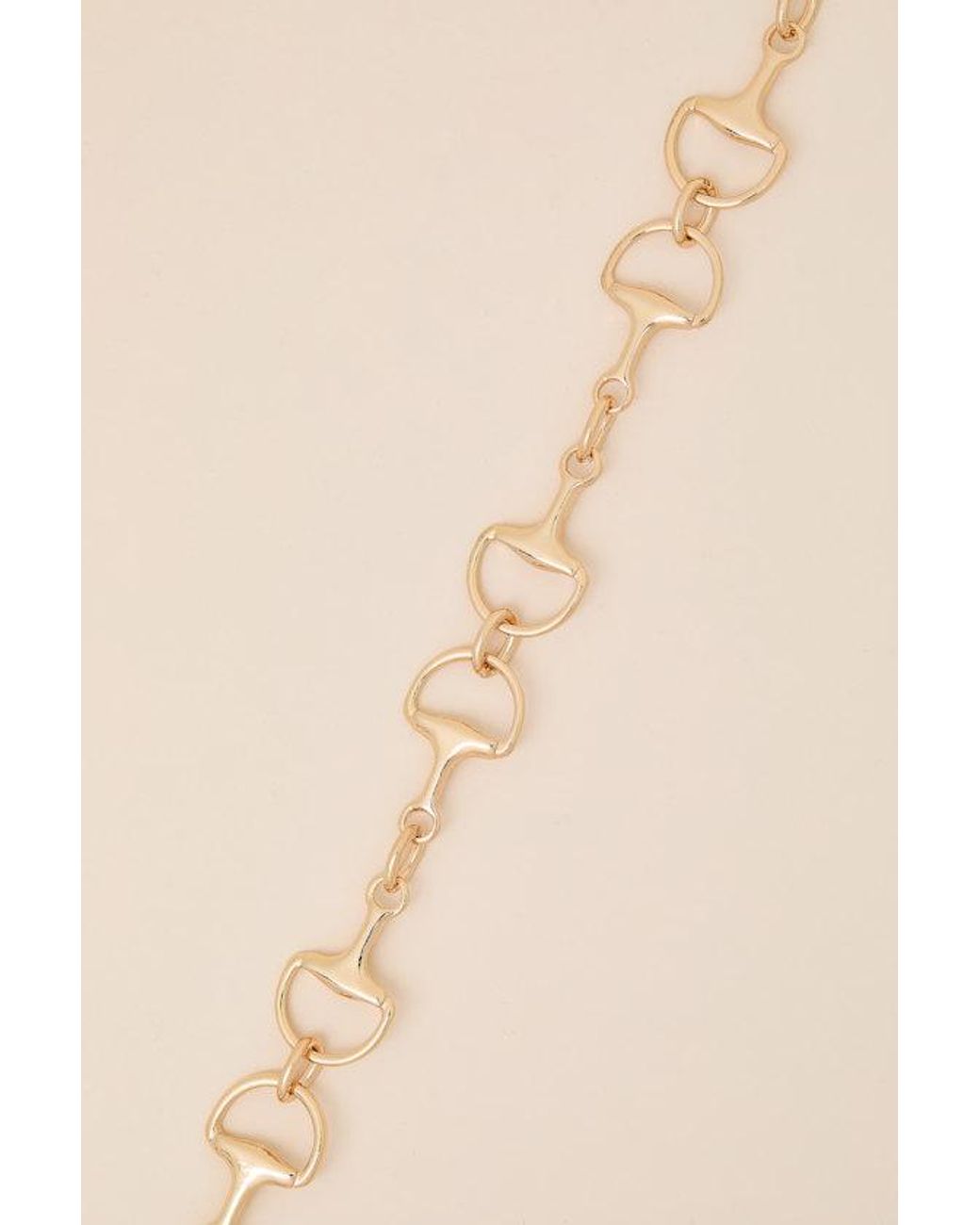 Lulus Brown Percy Horsebit Choker Necklace