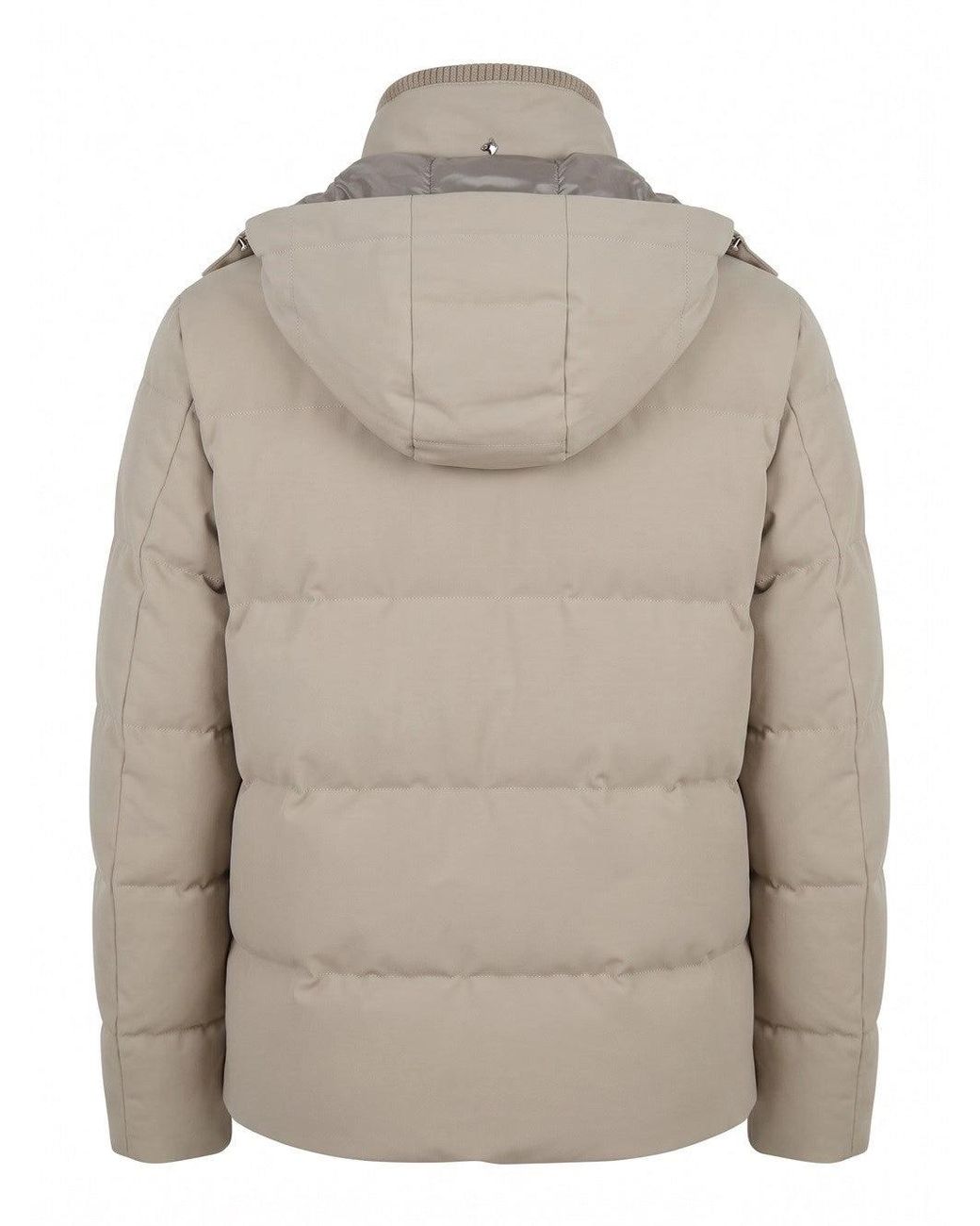 Montecore Gray Jacket for men