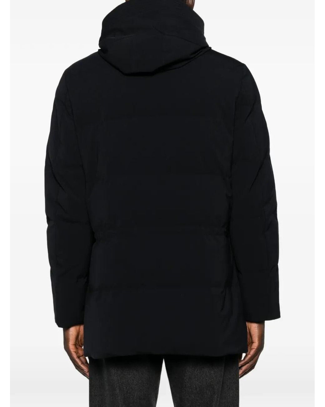 Montecore Black Padded Hooded Jacket for men