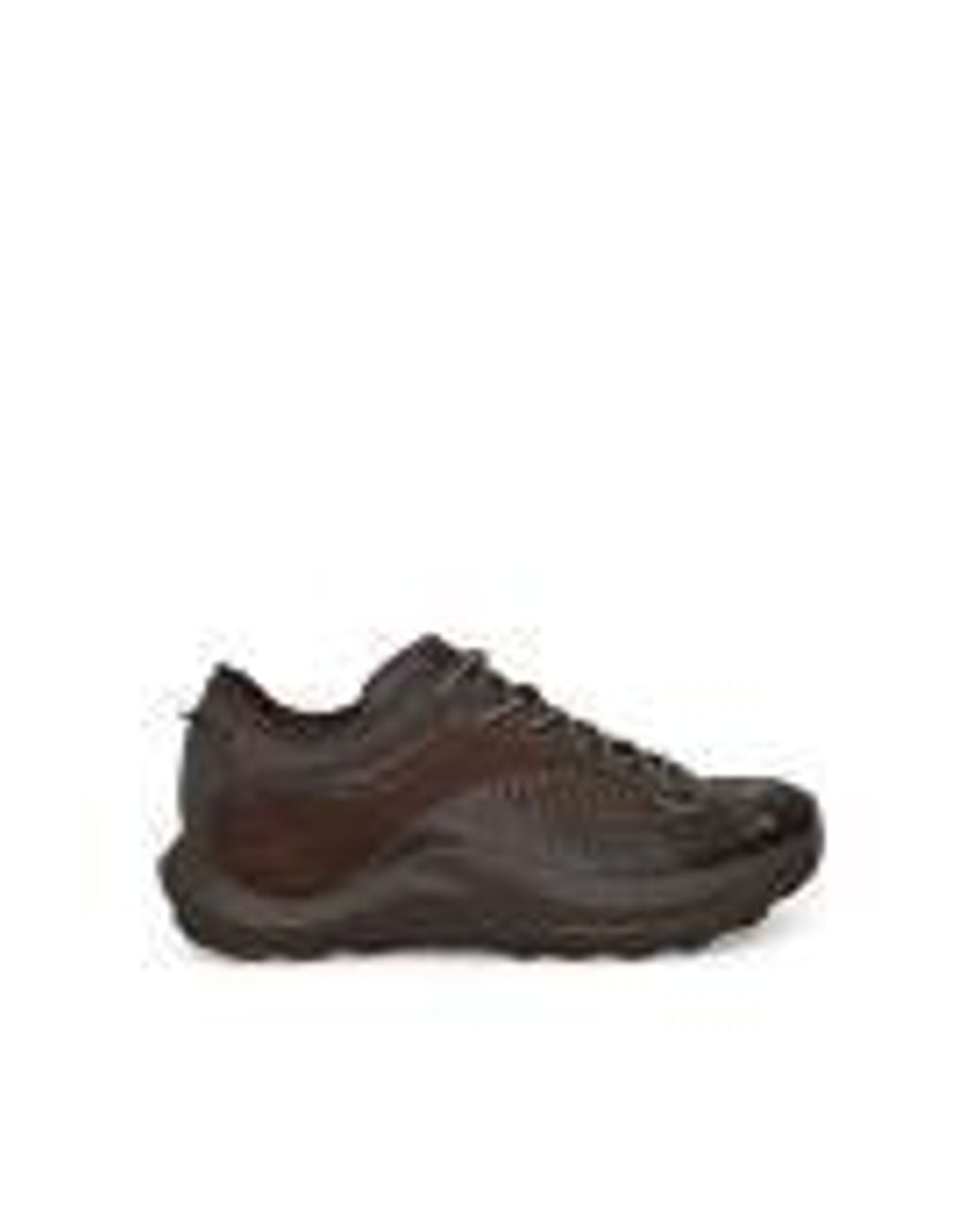 Roa Brown Sneakers for men