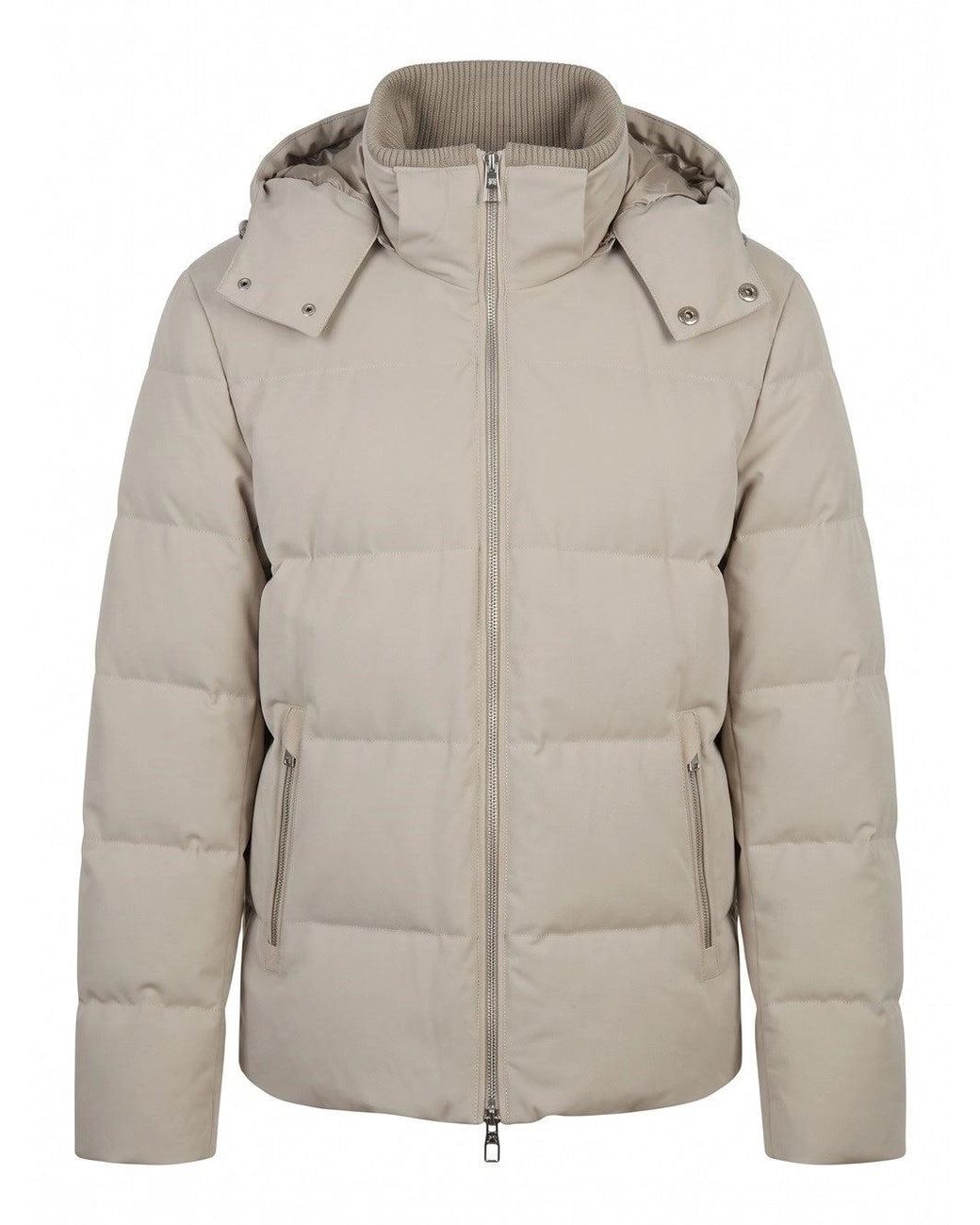 Montecore Gray Jacket for men