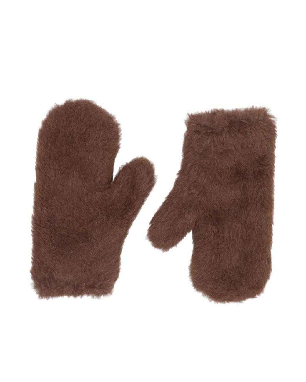 Max Mara Brown Mxaombrato4 Gloves