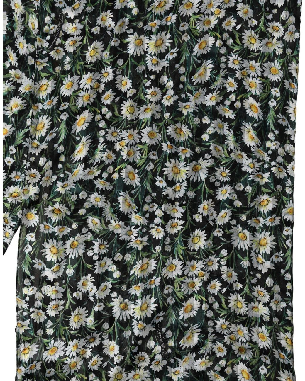 Dolce & Gabbana Green Silk Daisy Chiffon Long Stole Scarf
