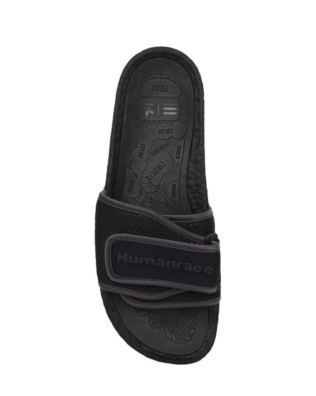 adidas Originals Pharrell Williams Chancletas Hu Sandals in Black | Lyst