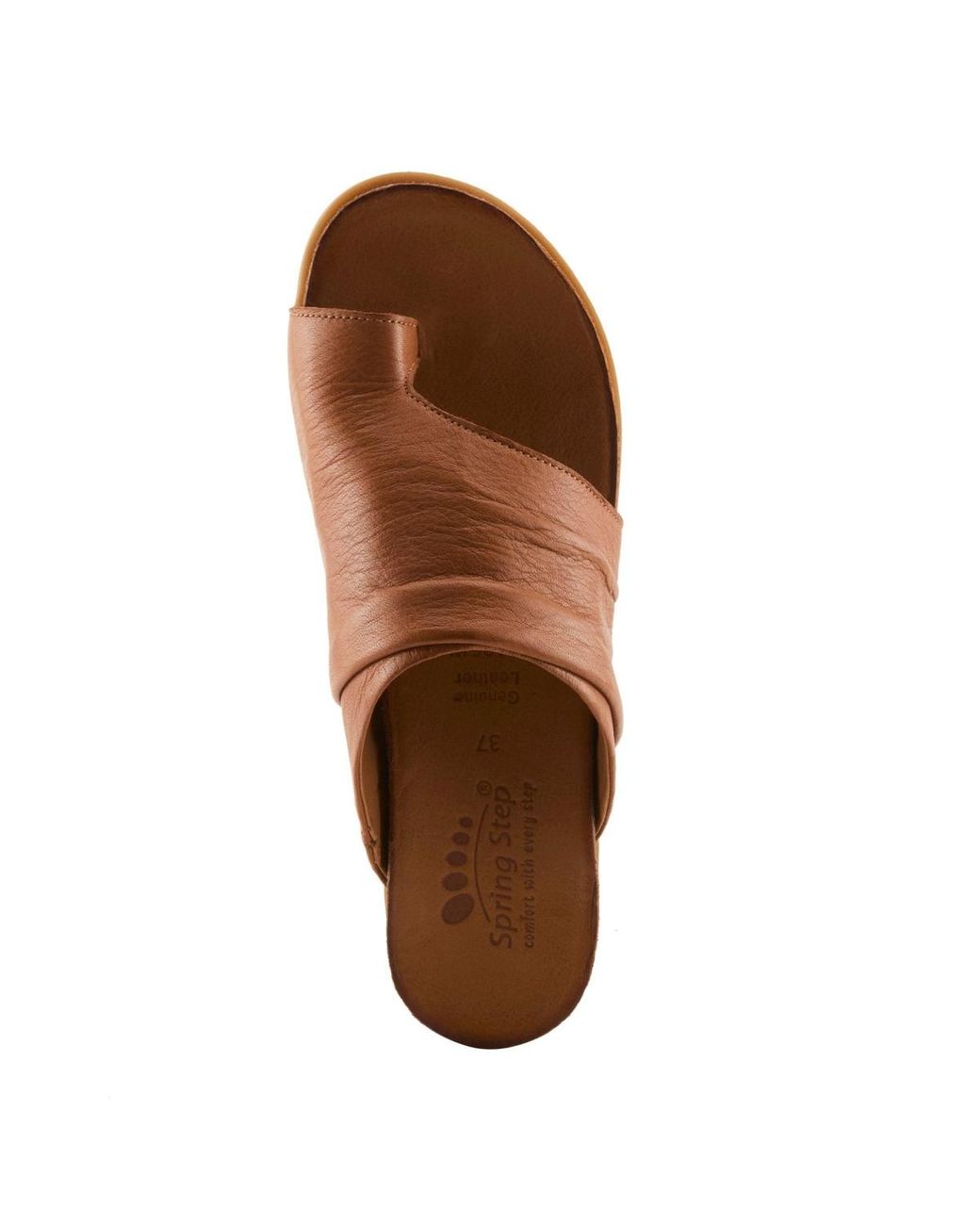 Spring Step Brown Bates Slides